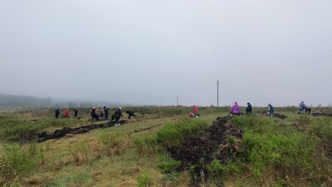 Праздник весны и труда