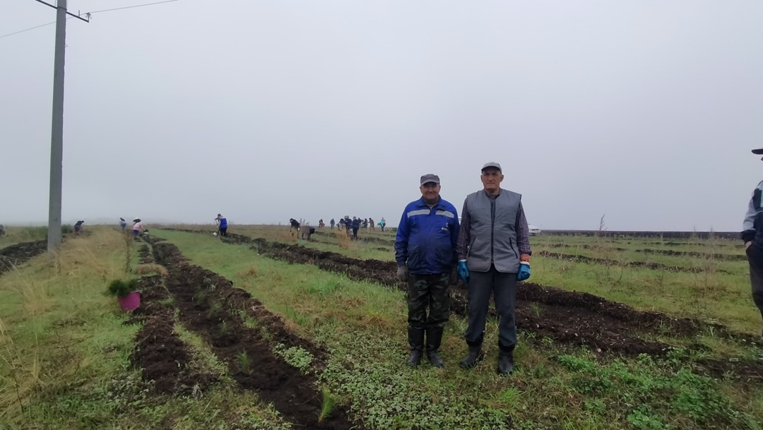 Праздник весны и труда