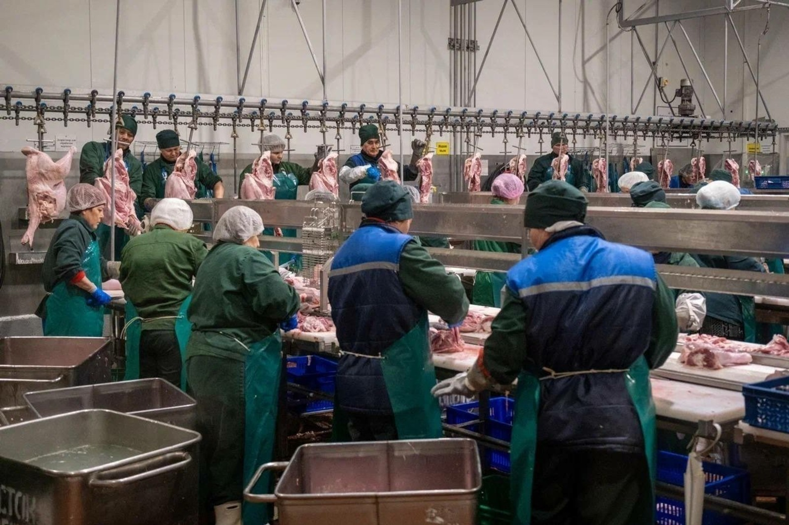 Башкирская индейка «поплыла» в Конго