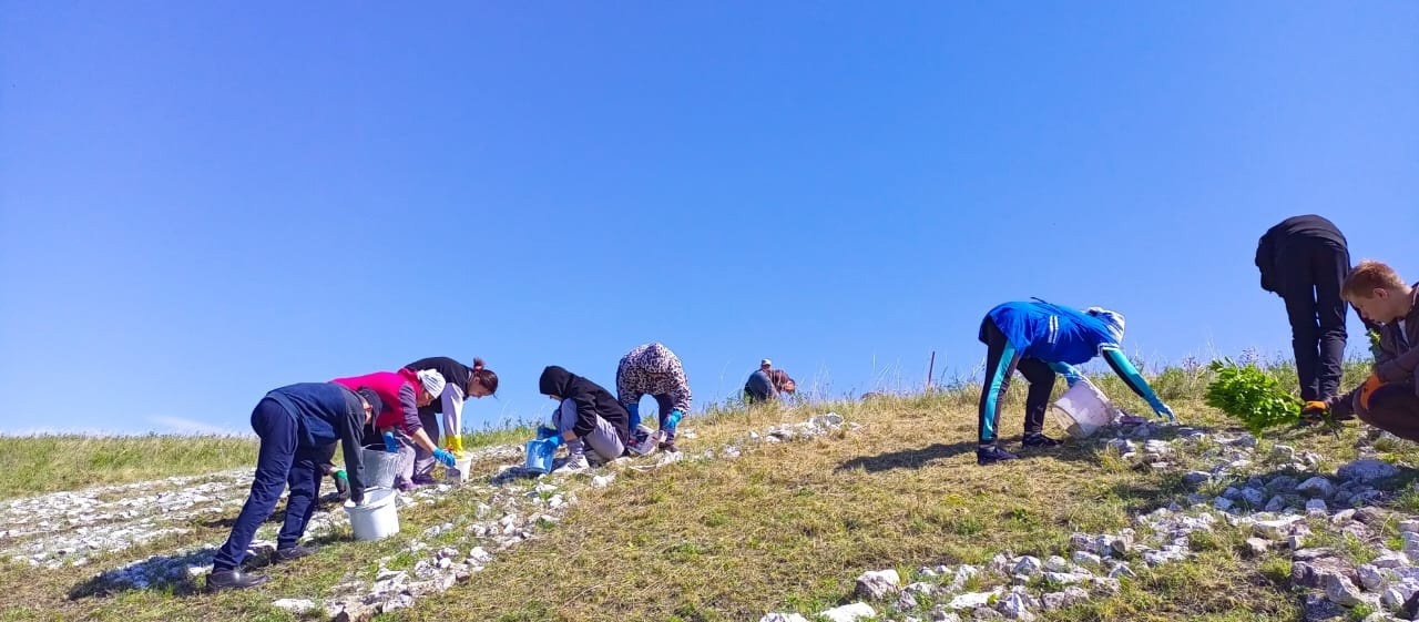 Учащиеся и сотрудники школы Бижбулякского района обновили надпись на горе