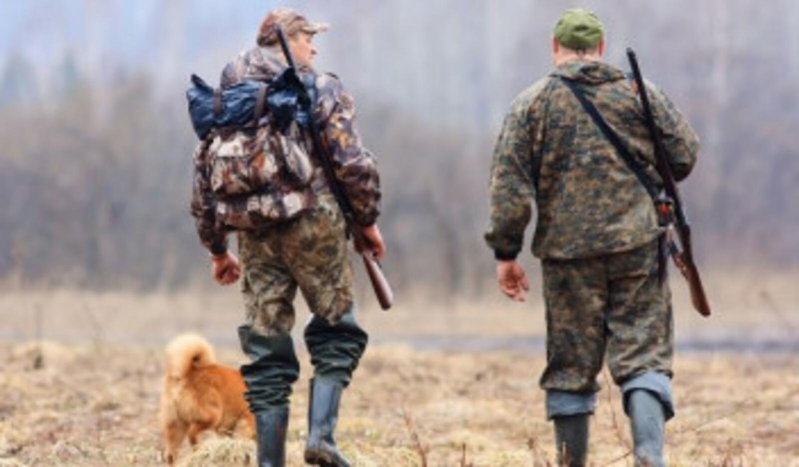 Глеб Егоров: «Каждый охотник всегда должен помнить правила охоты и соблюдать их»