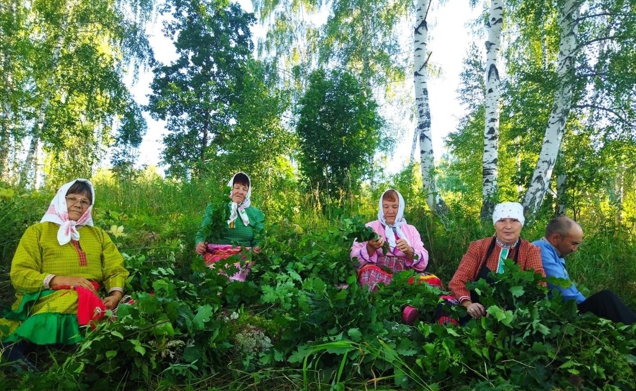 Участники ансамбля "Ҫӑлкуҫ" Базлыкского СМФК участвовали в заготовке веников для бани