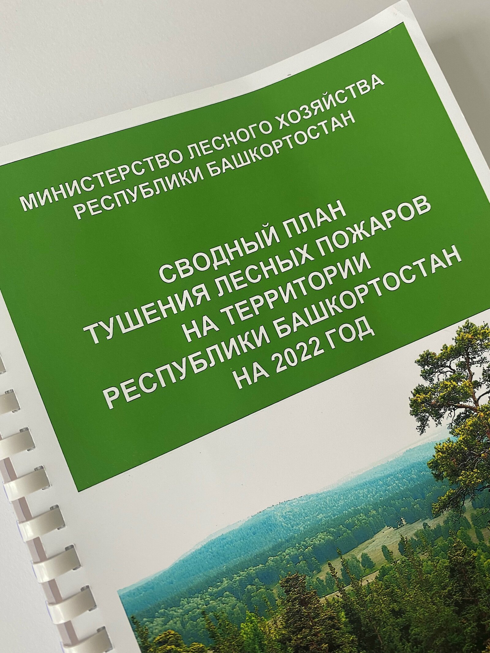 Утвержден "Сводный план тушения лесных пожаров на территории Республики Башкортостан на 2022 год"