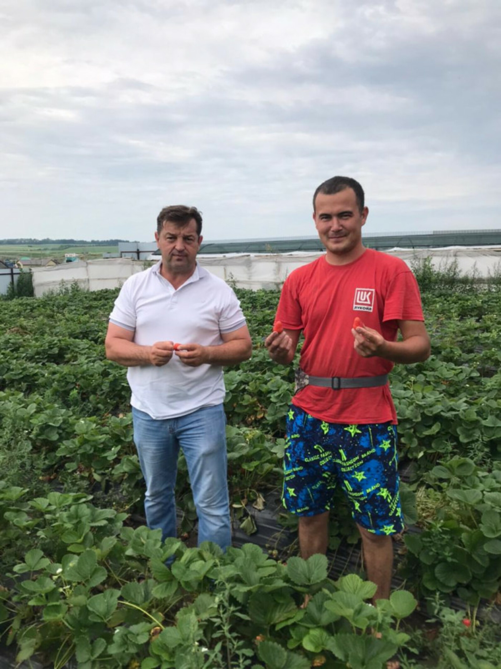 Фермер из Бижбулякского района направил грант на развитие клубничного дела