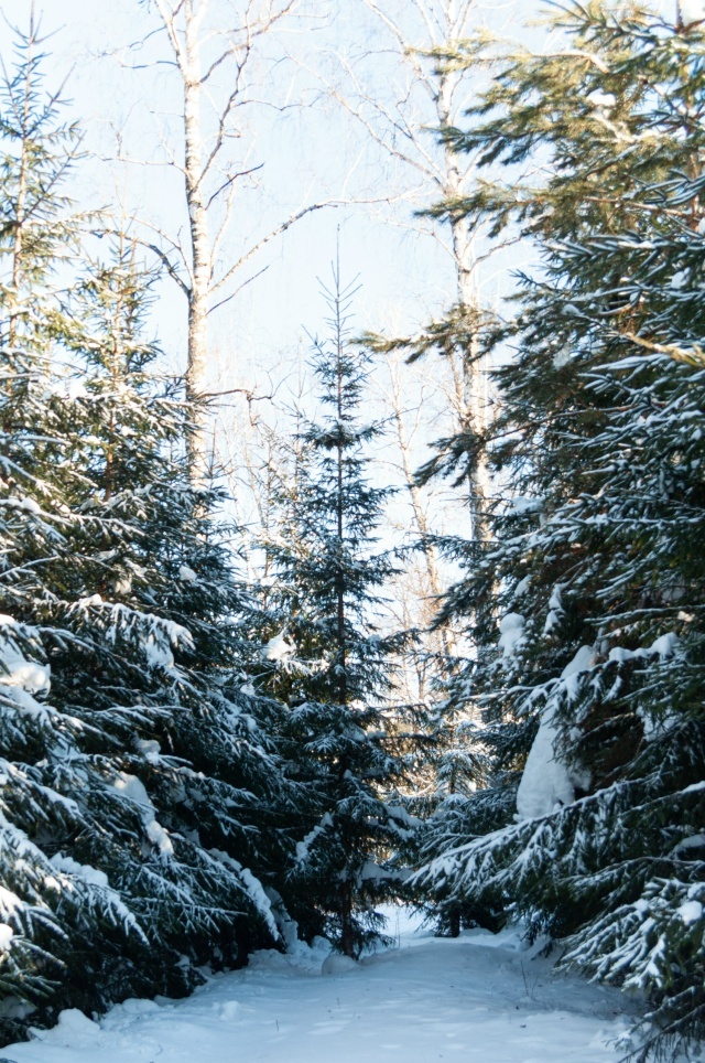 Успехи юных талантов Бижбулякской детской школы искусств