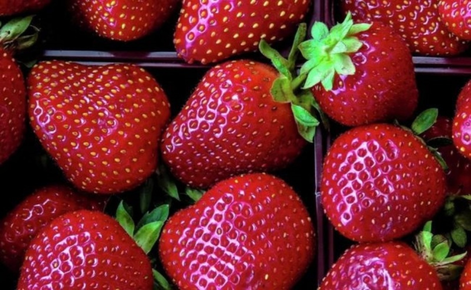 В Башкирии могут появиться сублимированные ягоды из Узбекистана