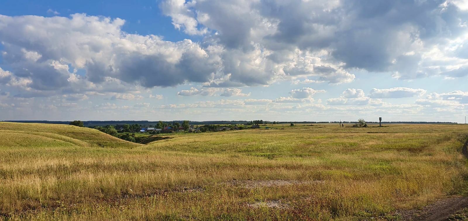 В Башкортостане проданы права аренды на земли сельхозназначения в Бижбулякском районе