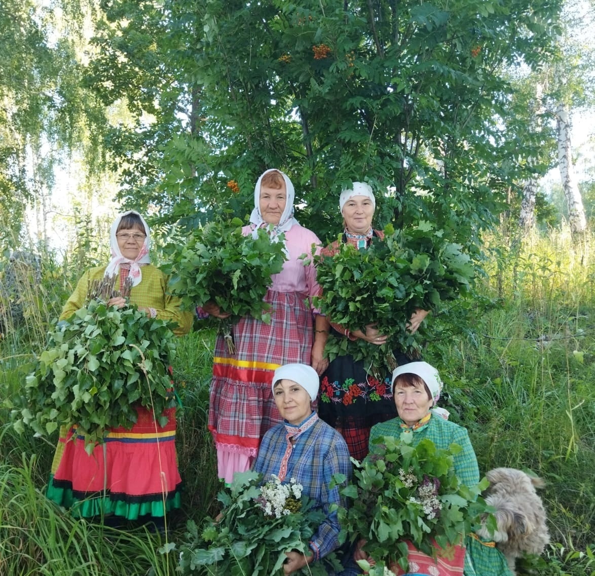 Участники ансамбля "Ҫӑлкуҫ" Базлыкского СМФК участвовали в заготовке веников для бани