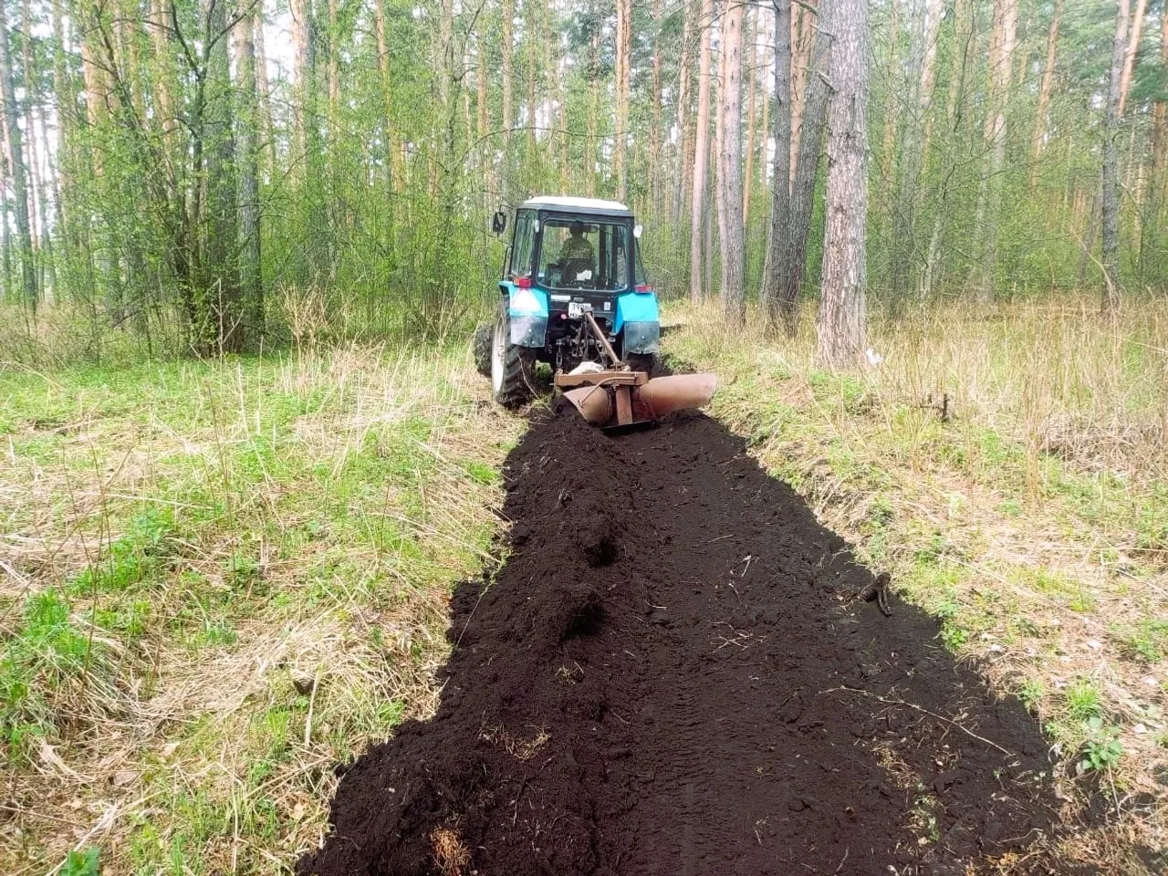 В Башкортостане продолжается обновление и создание минерализованных полос
