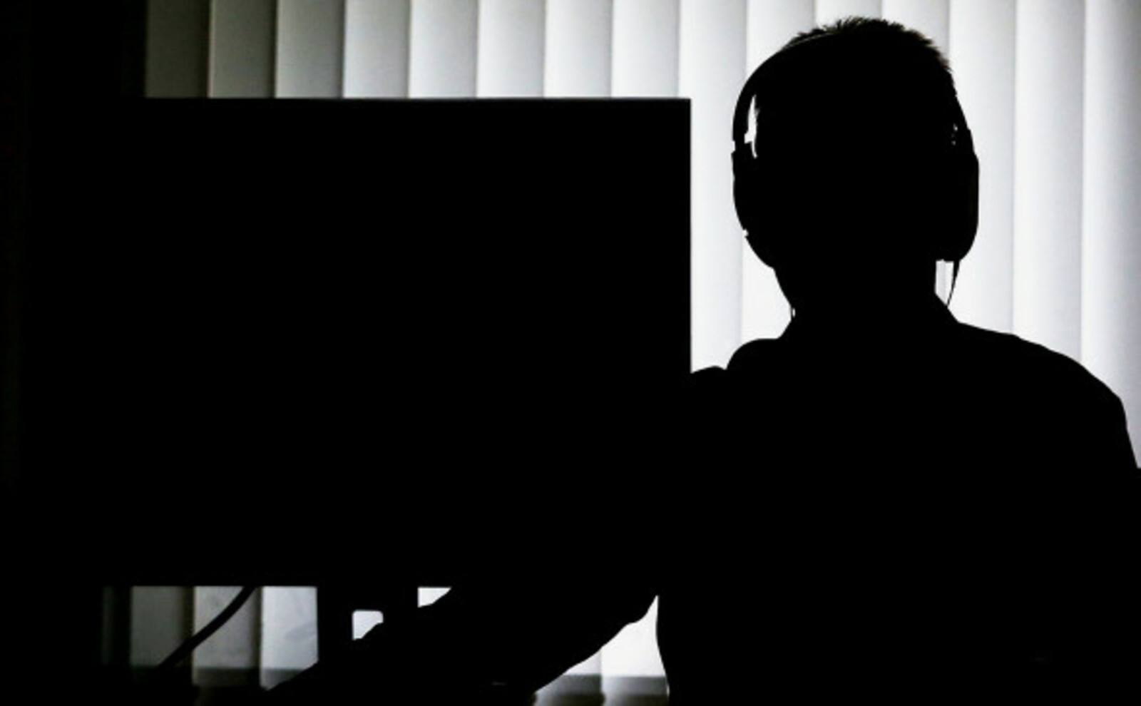 МВД сообщило о снижении количества киберпреступлений в России