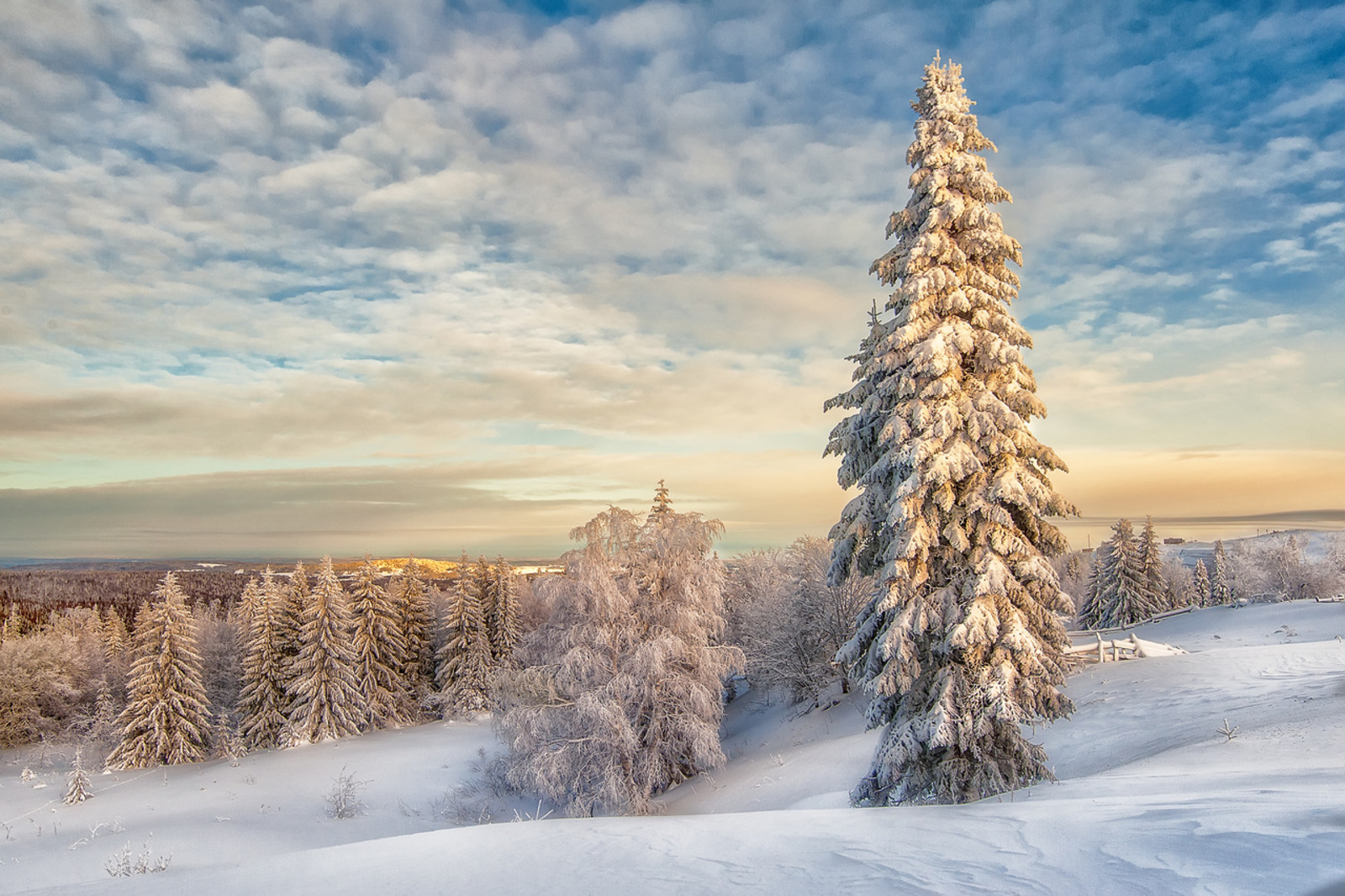 Вильфанд спрогнозировал зиму в Центральной России холоднее предыдущей