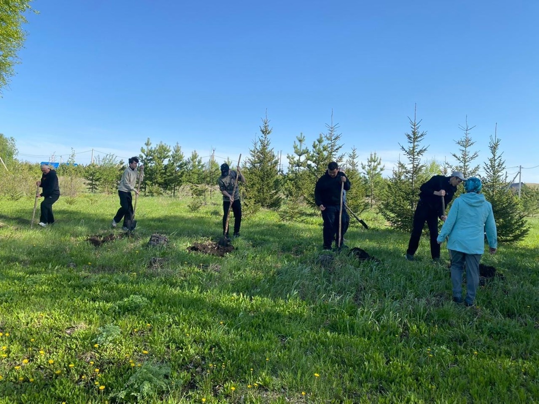 Ученики средней школы им. Ф. Карима с. Аитово создали «Сад Памяти»