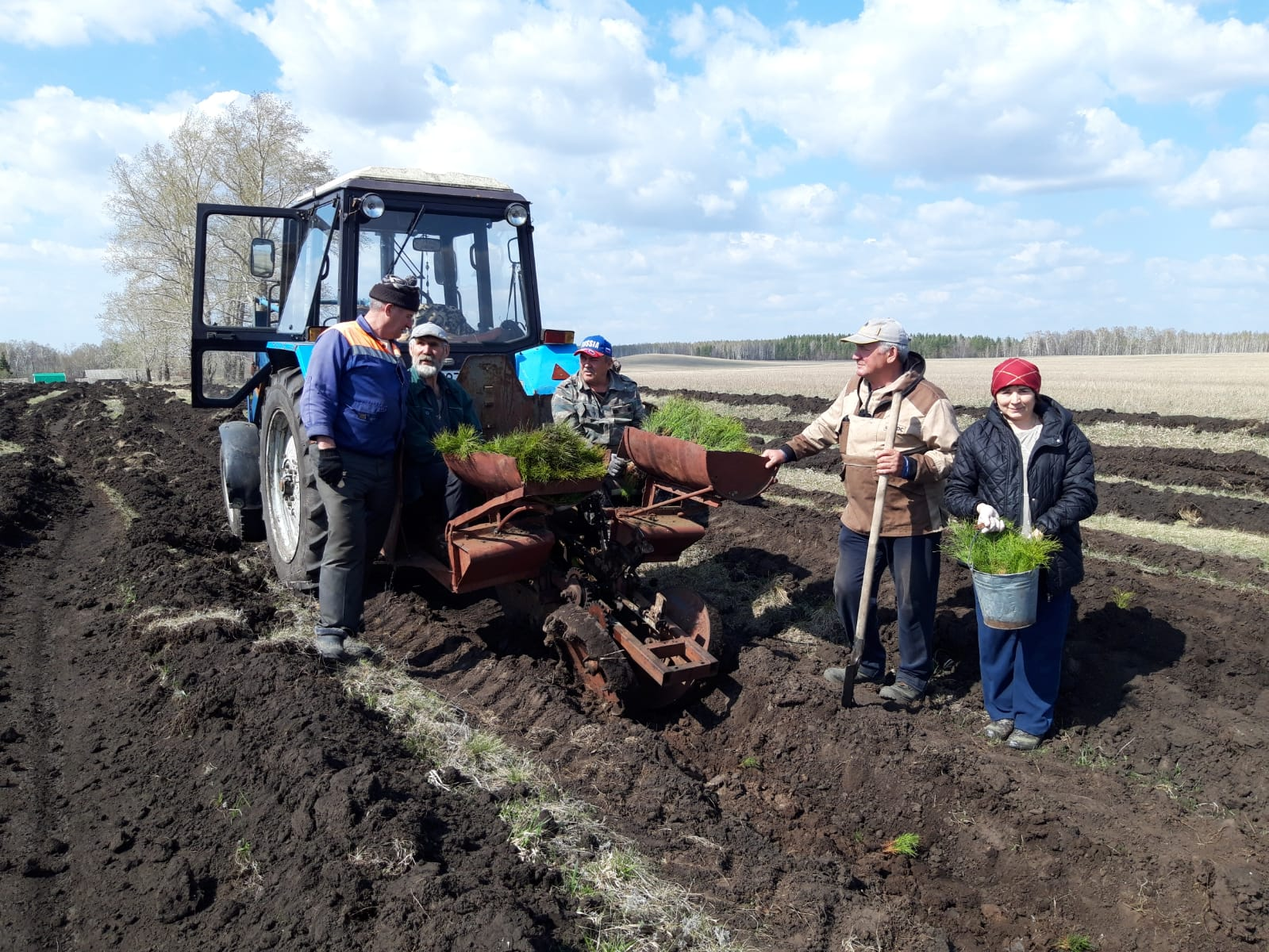 Где корни, там и сила