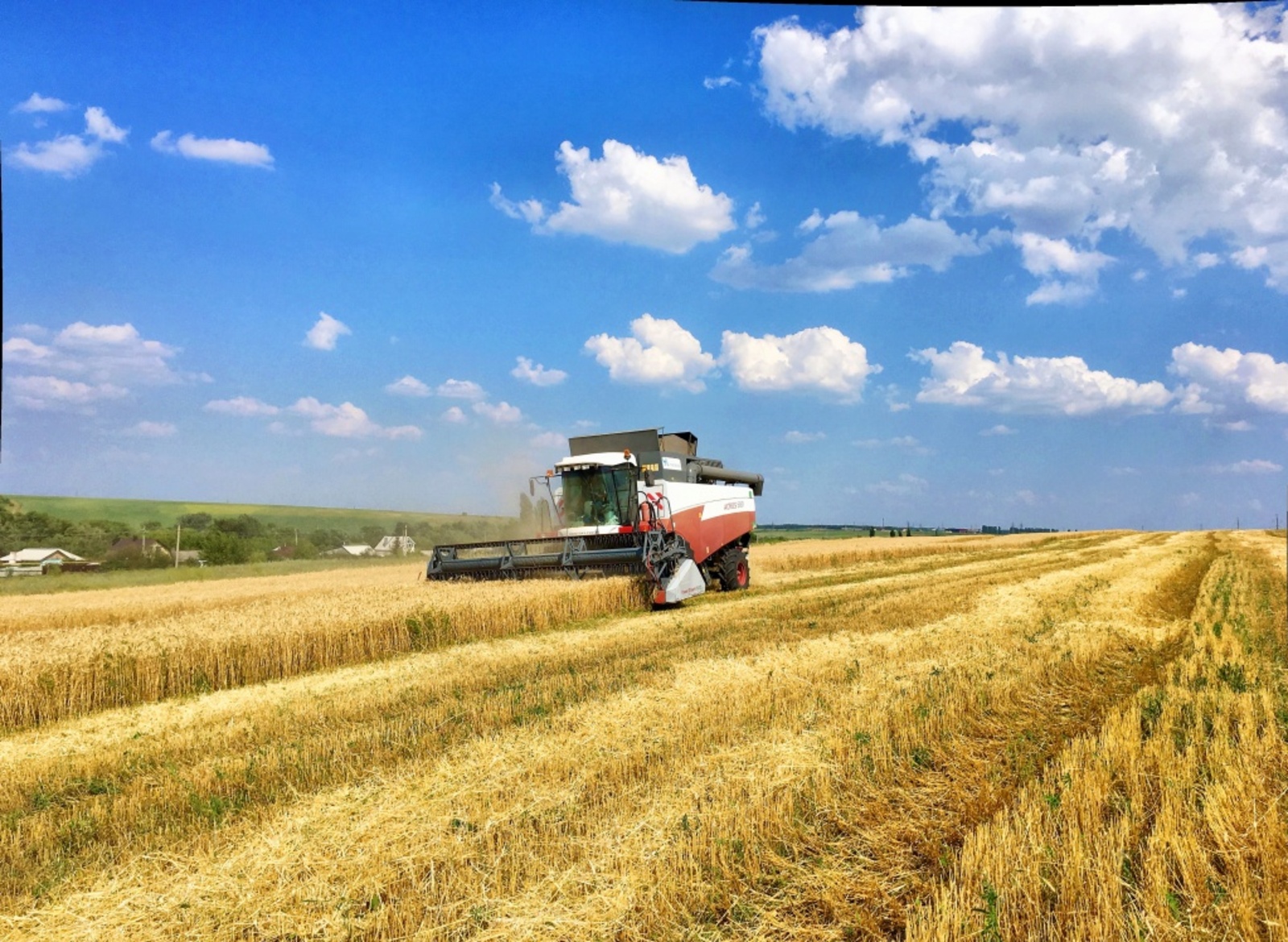 Радий Хабиров о засухе: «К сожалению, урожайность ниже той, что мы планировали»