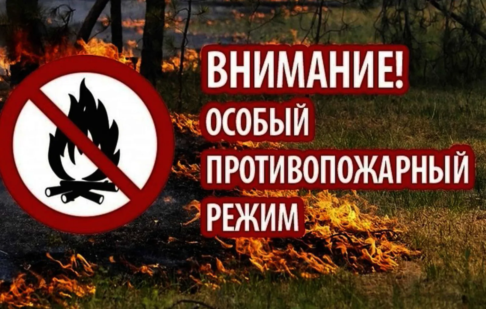 Огонь под запретом