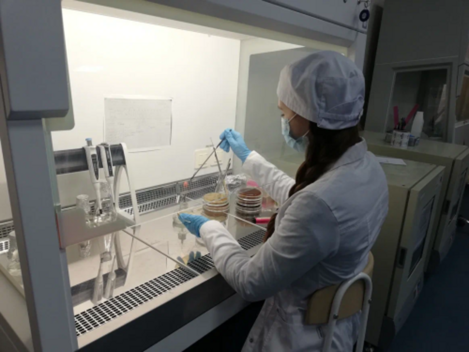 Ученые Межвузовского кампуса Уфы будут изучать микробиом человека при раковых и глазных заболеваниях