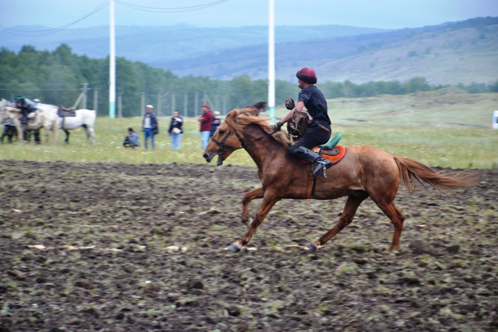 О том, какое значение для башкира имеет лошадь, рассказала жительница Гафурийского района