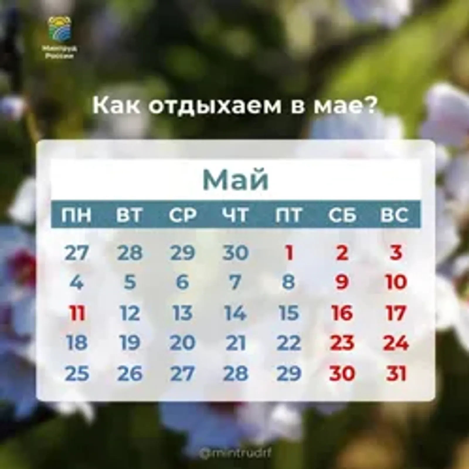 Новая рабочая неделя в Башкирии будет короткой